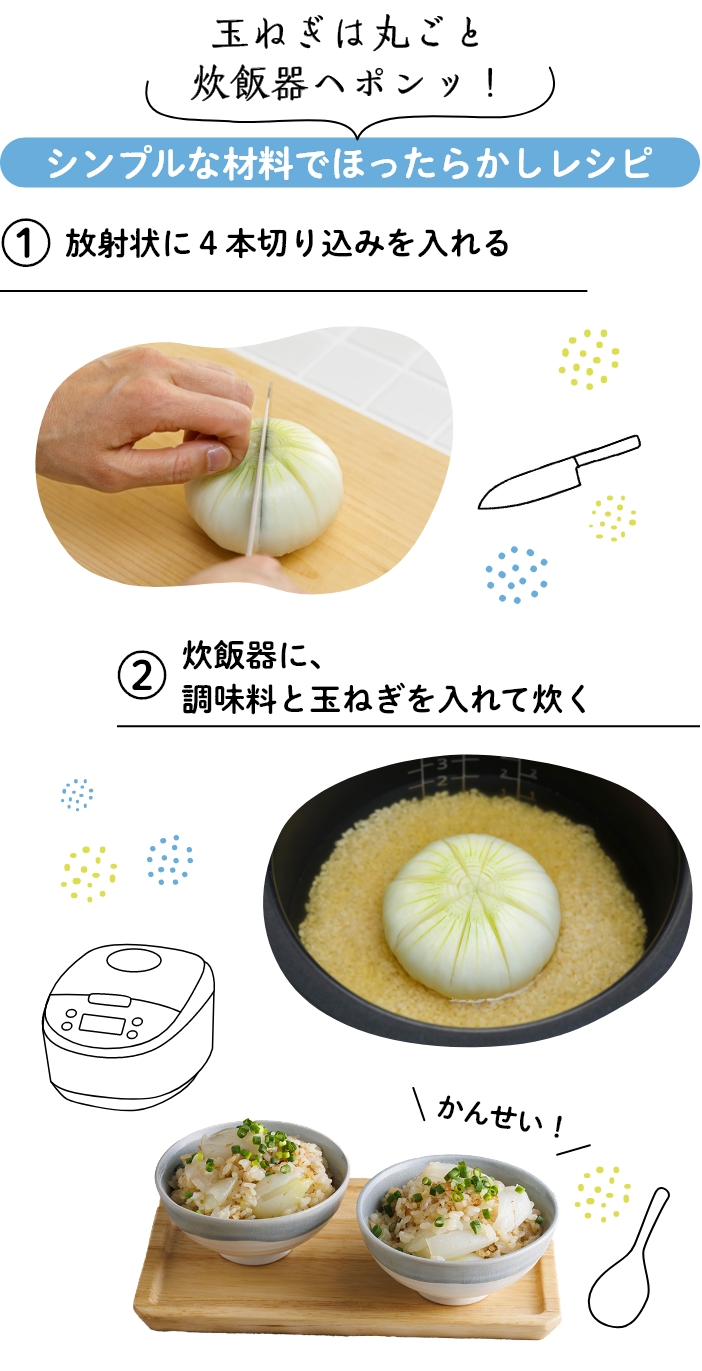 玉ねぎは丸ごと炊飯器へポンッ！シンプルな材料でほったらかしレシピ
